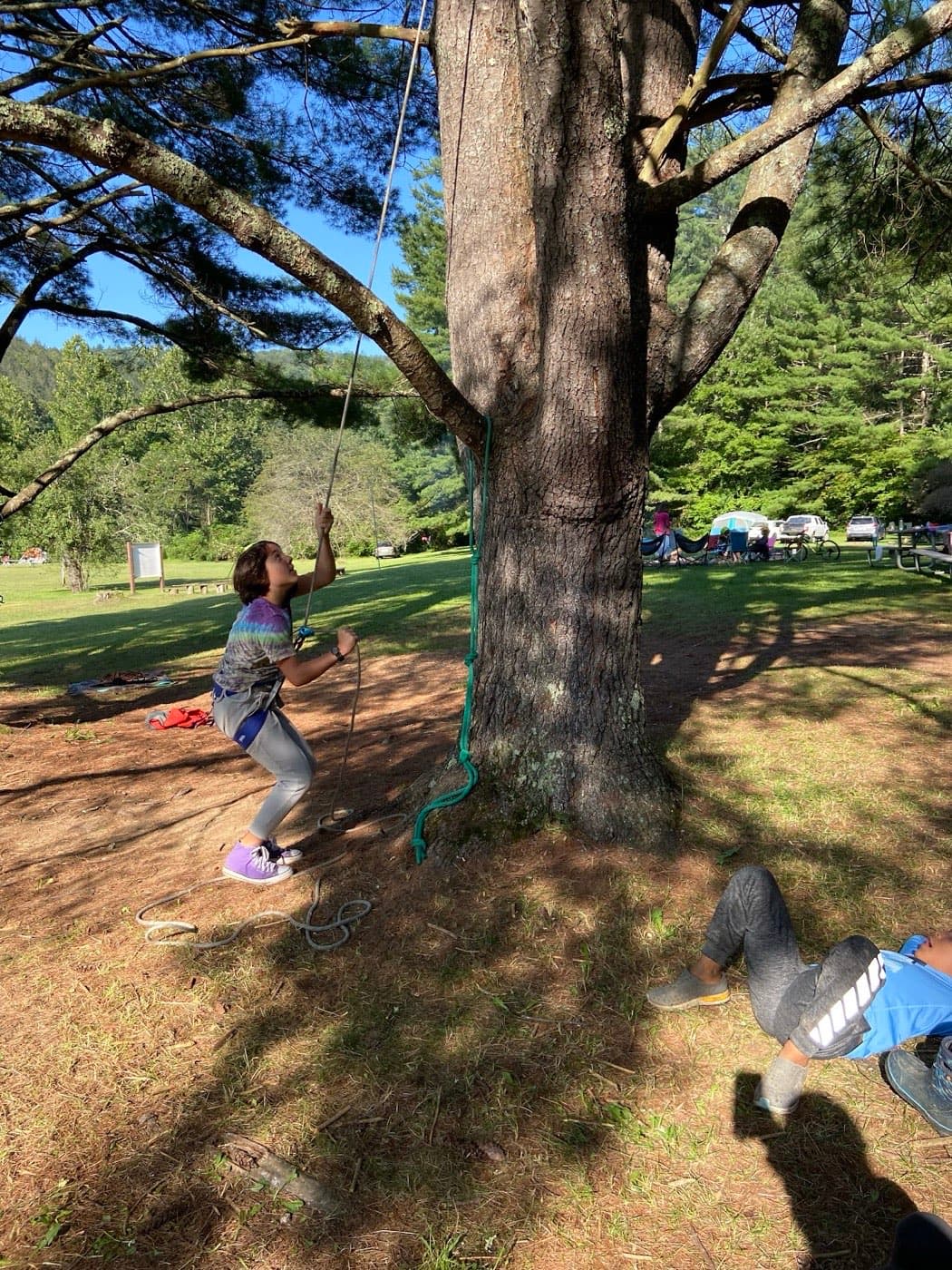 The rope swing